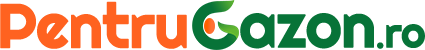 WEBNAME