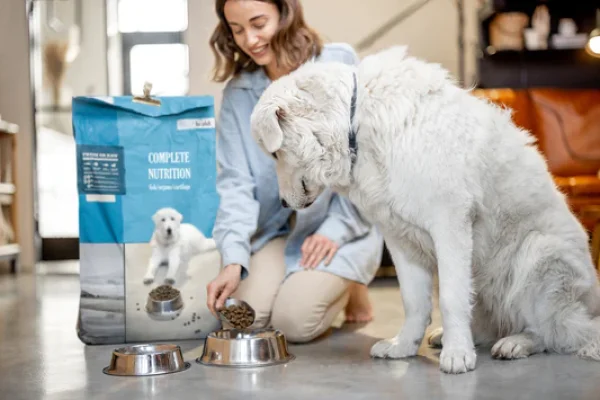 5 semne ca animalul tau de companie are nevoie de vizita la veterinar