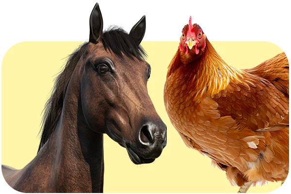 Farmacie Veterinara