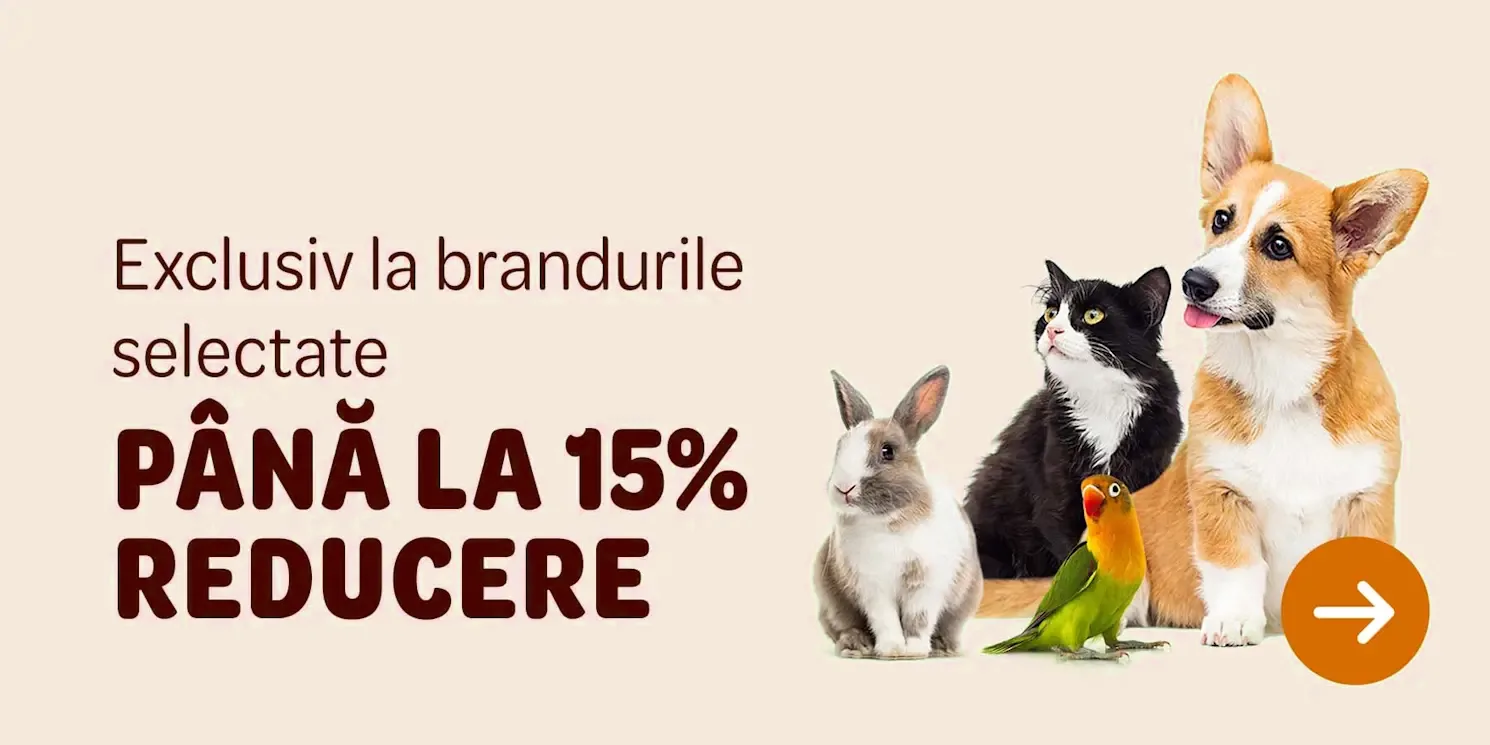 Transport Gratuit